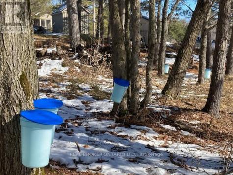 121 Rattlebear Drive The Archipelago (archipelago North) ON P0G 1K0