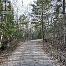 297 Nickel Lake Shores Road Rainy River ON P9A 3M3