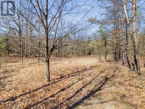 4282 Vivian Road Whitchurch-stouffville ON L4A 1Z2
