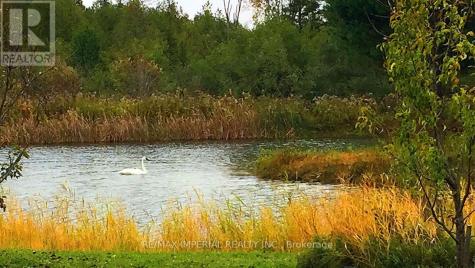 13231 Kennedy Road Whitchurch-stouffville ON L4A 7X5