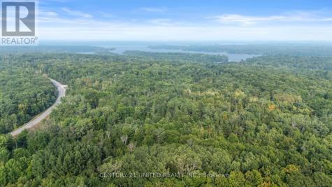 2039 County Road 620 North Kawartha ON K0L 1A0