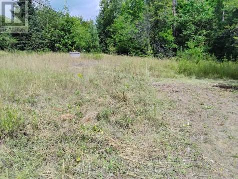 2039 County Road 620 North Kawartha ON K0L 1A0