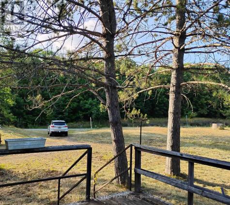 2039 County Road 620 North Kawartha ON K0L 1A0