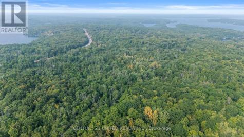 2039 County Road 620 North Kawartha ON K0L 1A0