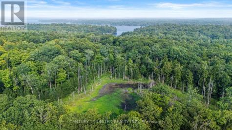 2039 County Road 620 North Kawartha ON K0L 1A0