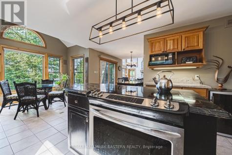 538 Rishor Avenue Douro-dummer ON K0L 2H0