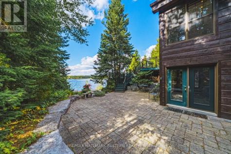 538 Rishor Avenue Douro-dummer ON K0L 2H0