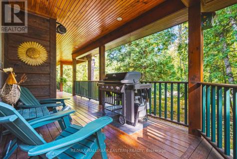 538 Rishor Avenue Douro-dummer ON K0L 2H0