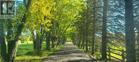 13123 Mccowan Road Whitchurch-stouffville ON L4A 3Y5