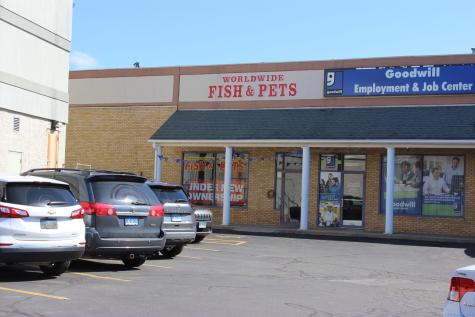 59 Amity Road New Haven CT 06515