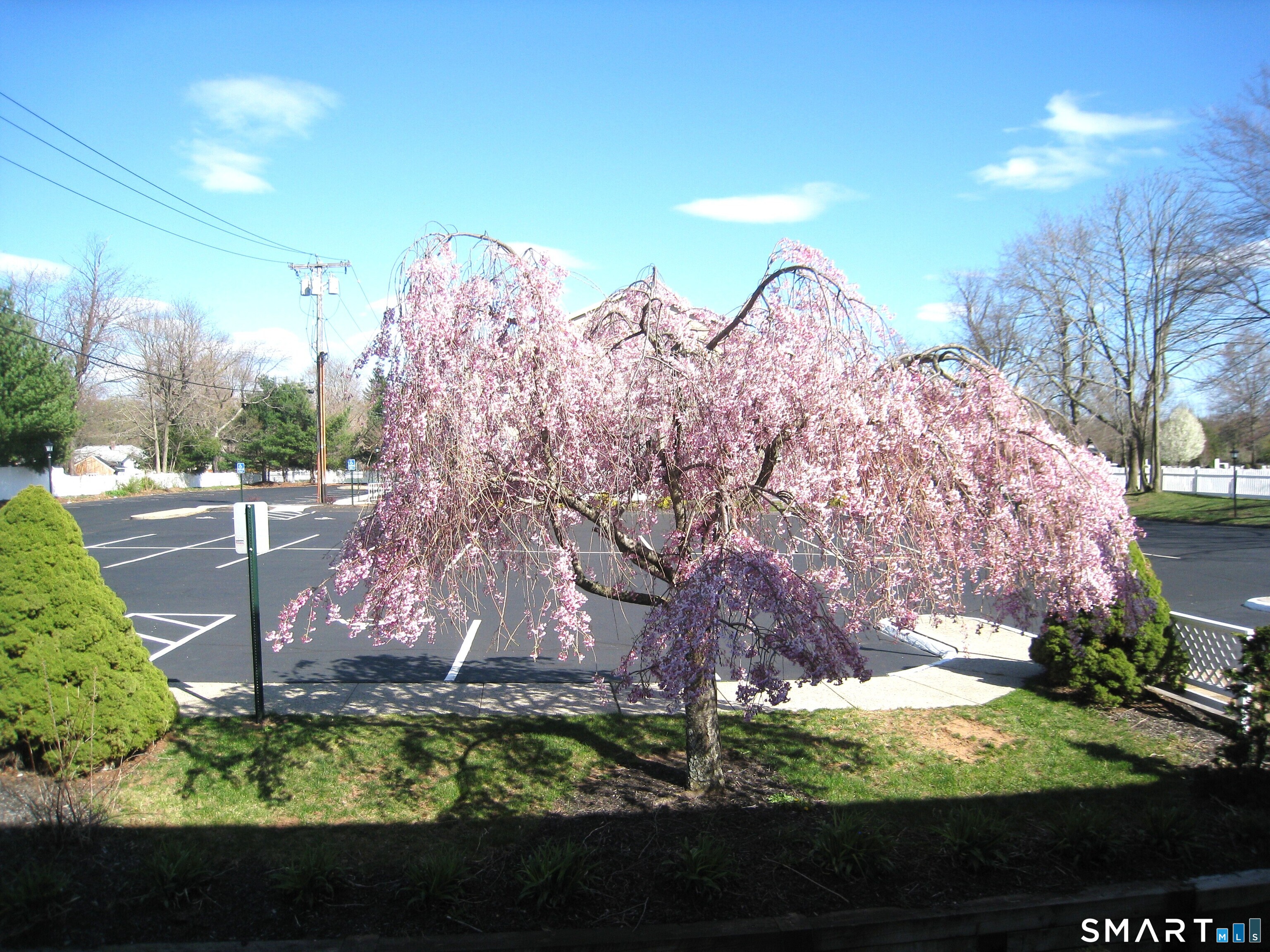 299 Washington Avenue Hamden CT 06518