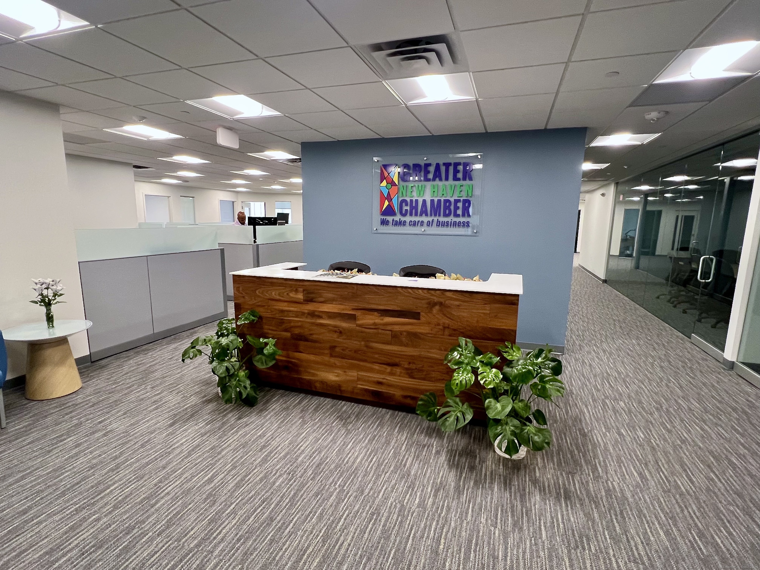 195 Church Street New Haven CT 06516