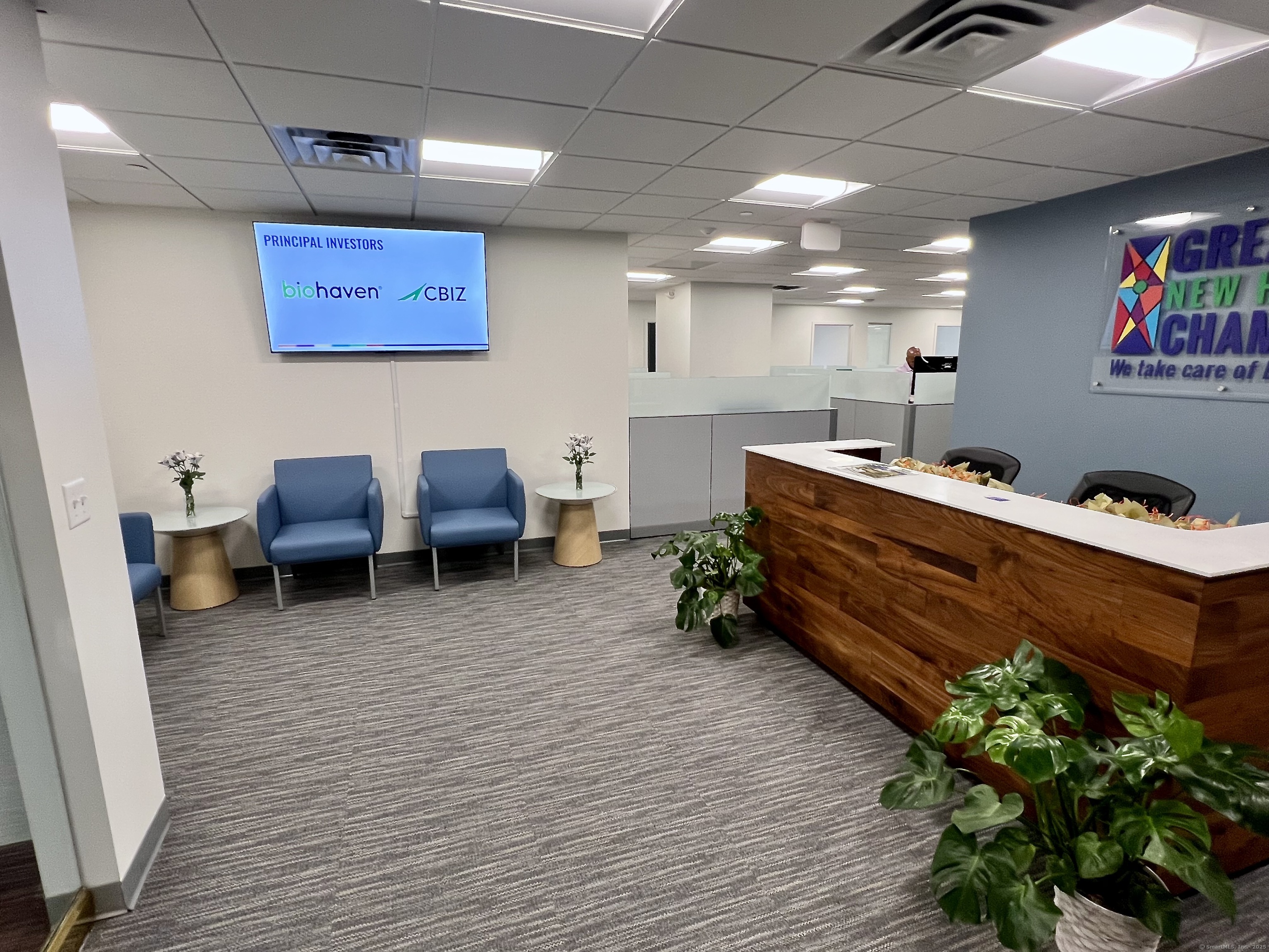 195 Church Street New Haven CT 06516