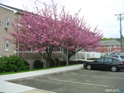 299 Washington Avenue Hamden CT 06518