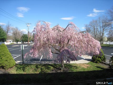 295 Washington Avenue Hamden CT 06518