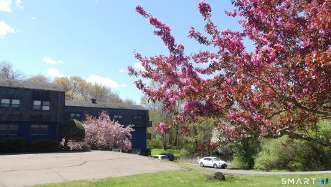 23 Amity Road Bethany CT 06524
