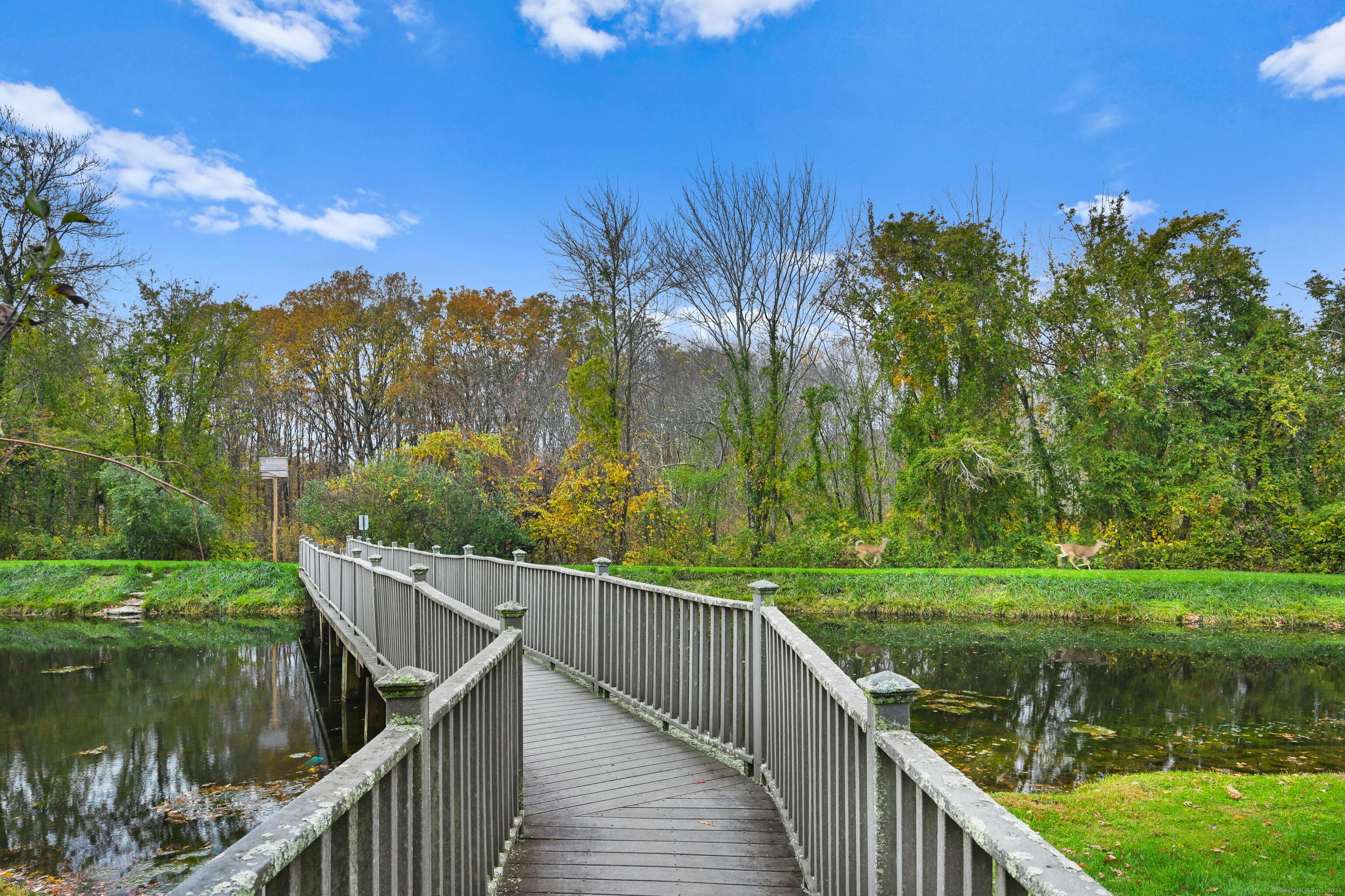 253 Mayfield Drive Trumbull CT 06611