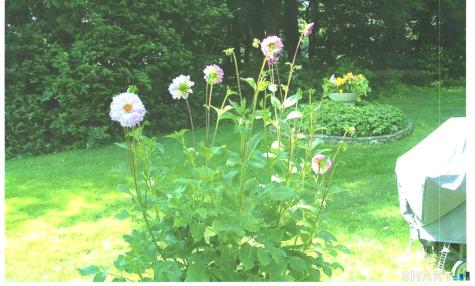 419 Heritage Village Southbury CT 06488