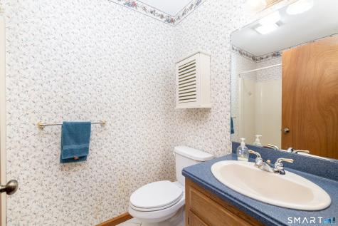 55 Windmill Springs Granby CT 06035