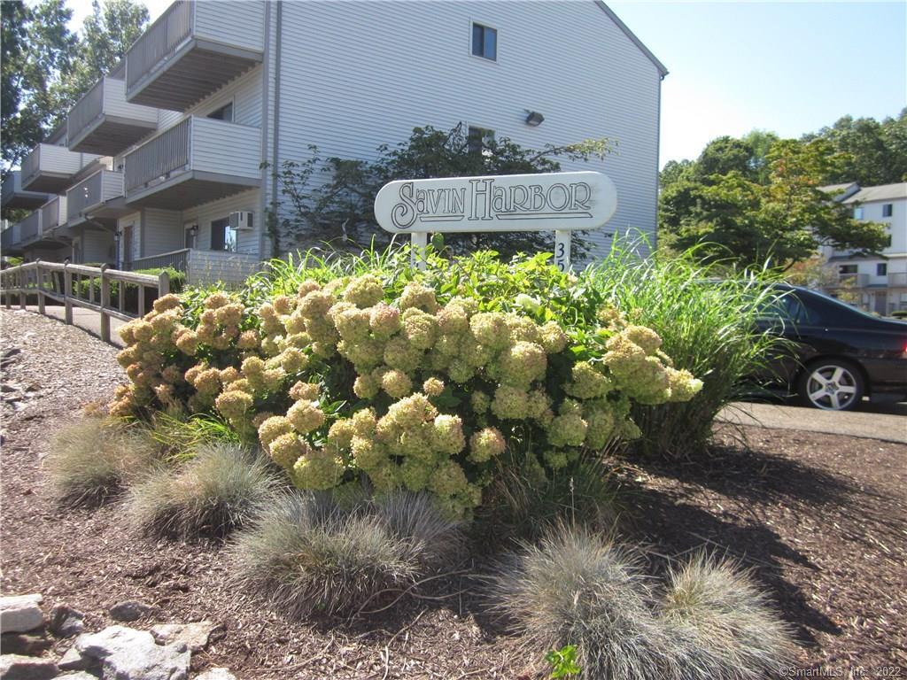 330 Savin Avenue West Haven CT 06516