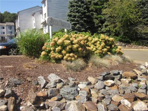 330 Savin Avenue West Haven CT 06516