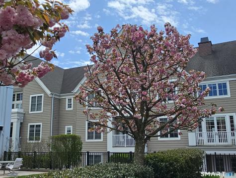 77 Havemeyer Lane Stamford CT 06902
