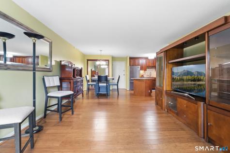 2218 Harbor View Drive Rocky Hill CT 06067
