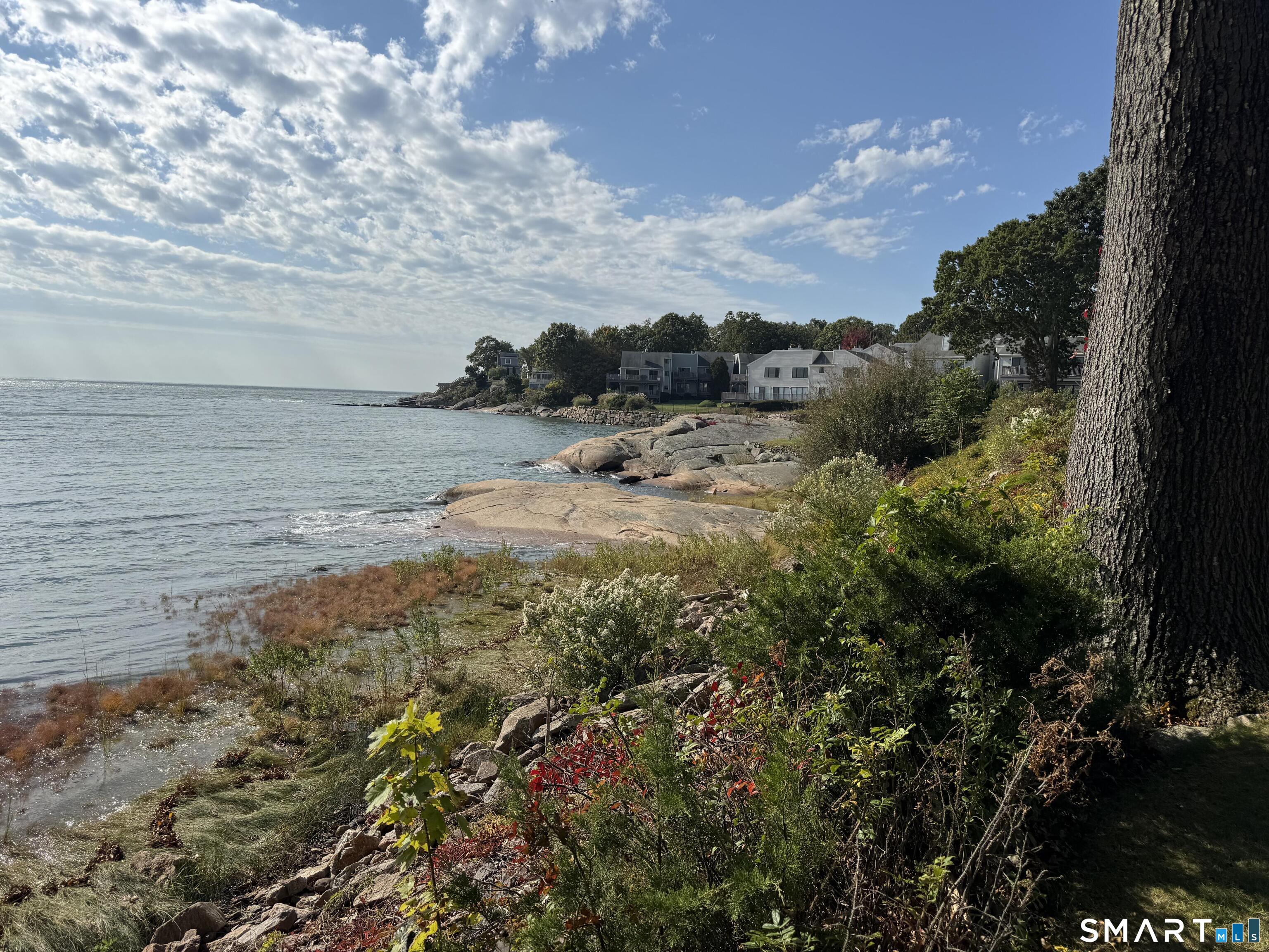 89 Turtle Bay Drive Branford CT 06405