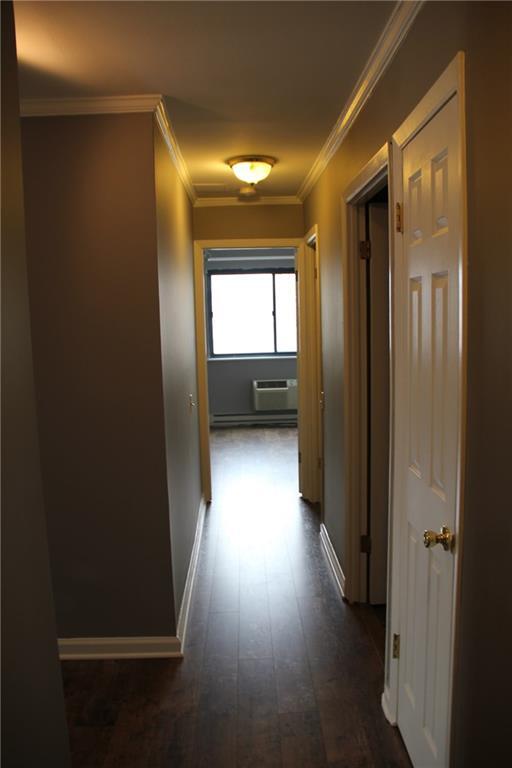 51 Schuyler Avenue Stamford CT 06902