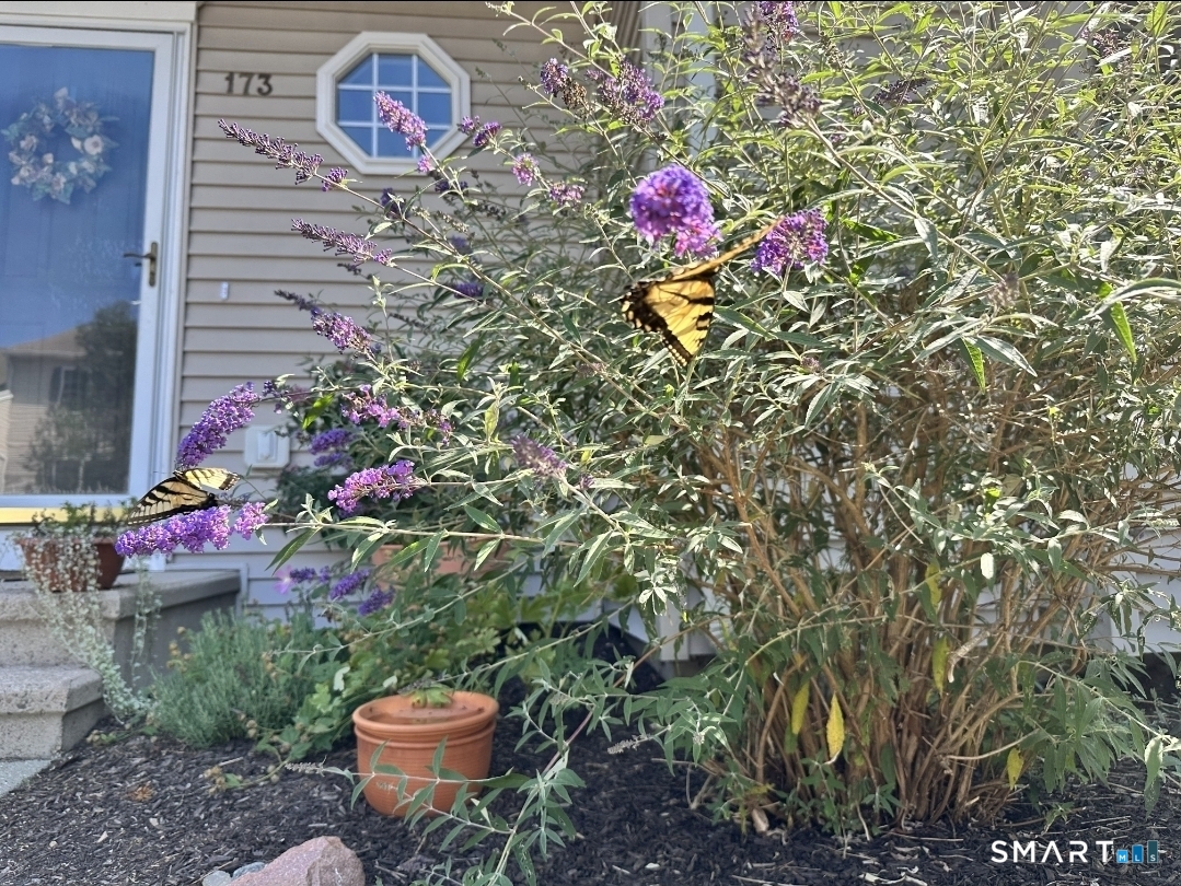 173 Briar Lane Norwich CT 06360