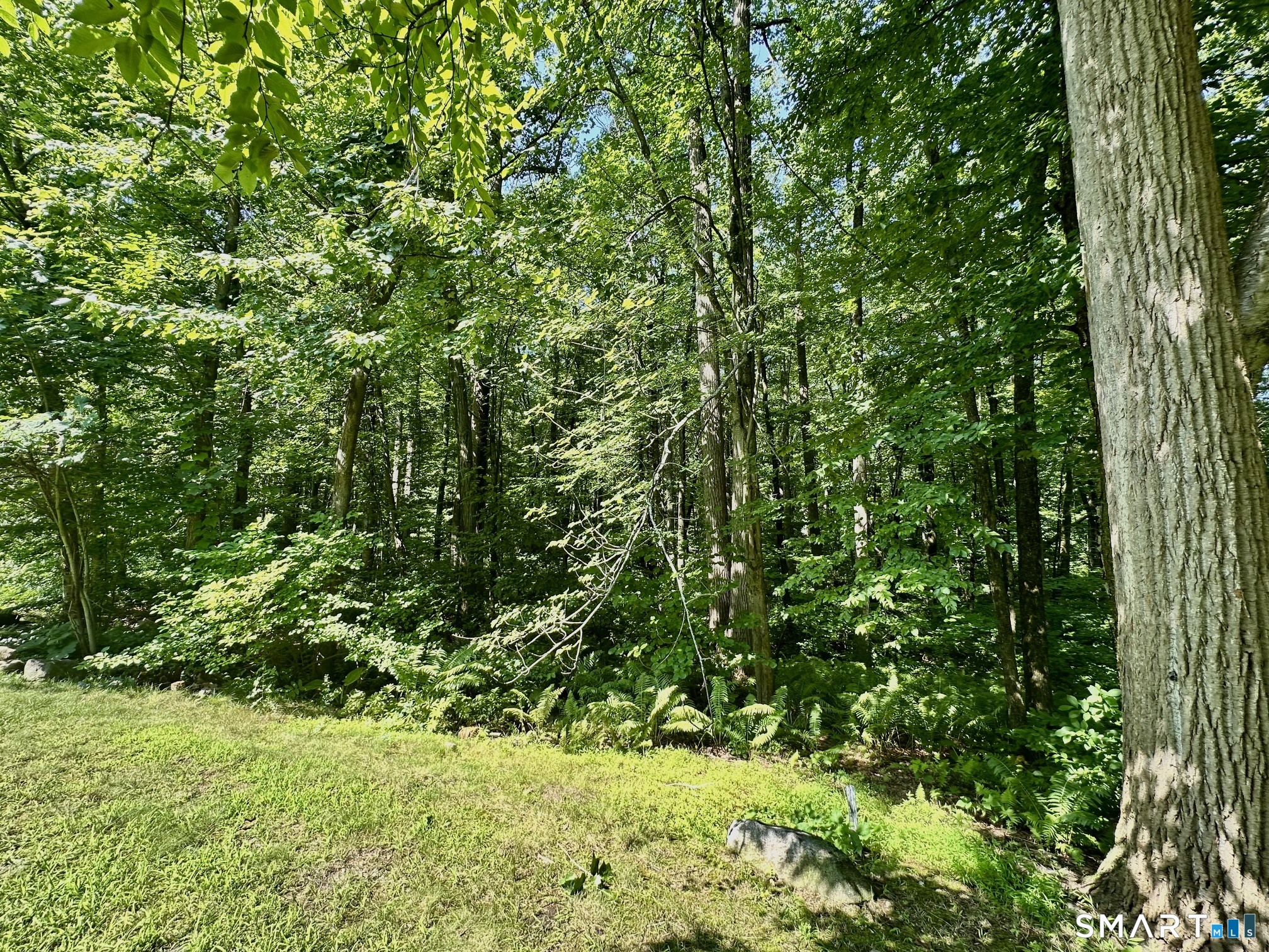 181 Sherbrooke Street Bristol CT 06010