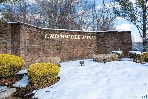29 Mountain Laurel Court Cromwell CT 06416