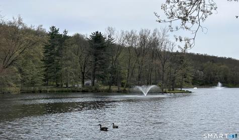 54 Clubhouse Drive Woodbury CT 06798