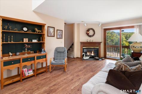 3 Twin Oaks New Milford CT 06776