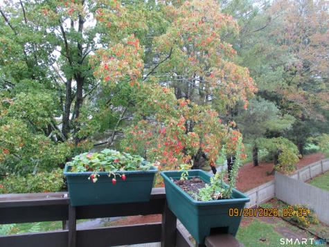 84 Kent Court Meriden CT 06450