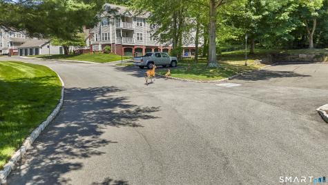 359 Hadley Drive Trumbull CT 06611