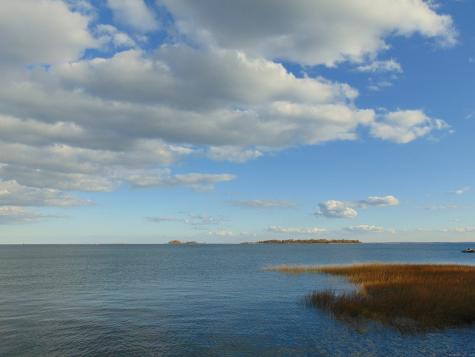 42 South Main Street Norwalk CT 06810