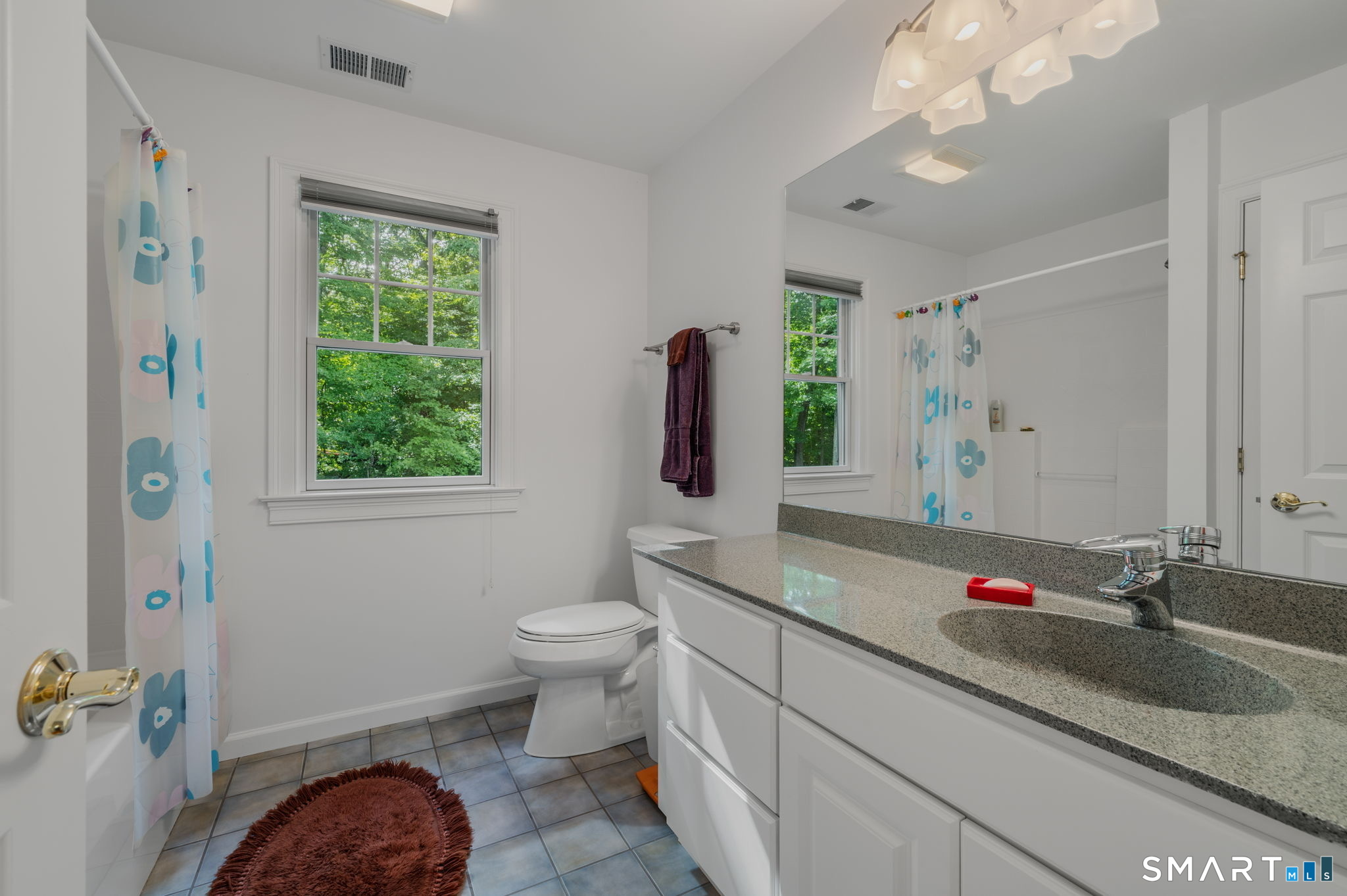 112 Oakwood Trail Chester CT 06412
