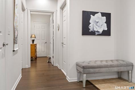 60 Maple Street Branford CT 06405