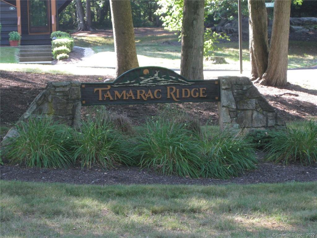39 Cherry Blossom Lane Shelton CT 06484