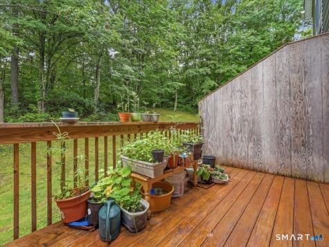 1423 Quinnipiac Avenue New Haven CT 06513