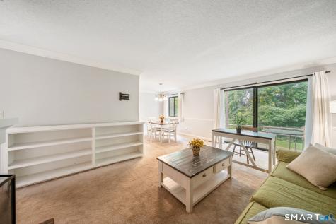 234 Heritage Village Southbury CT 06488