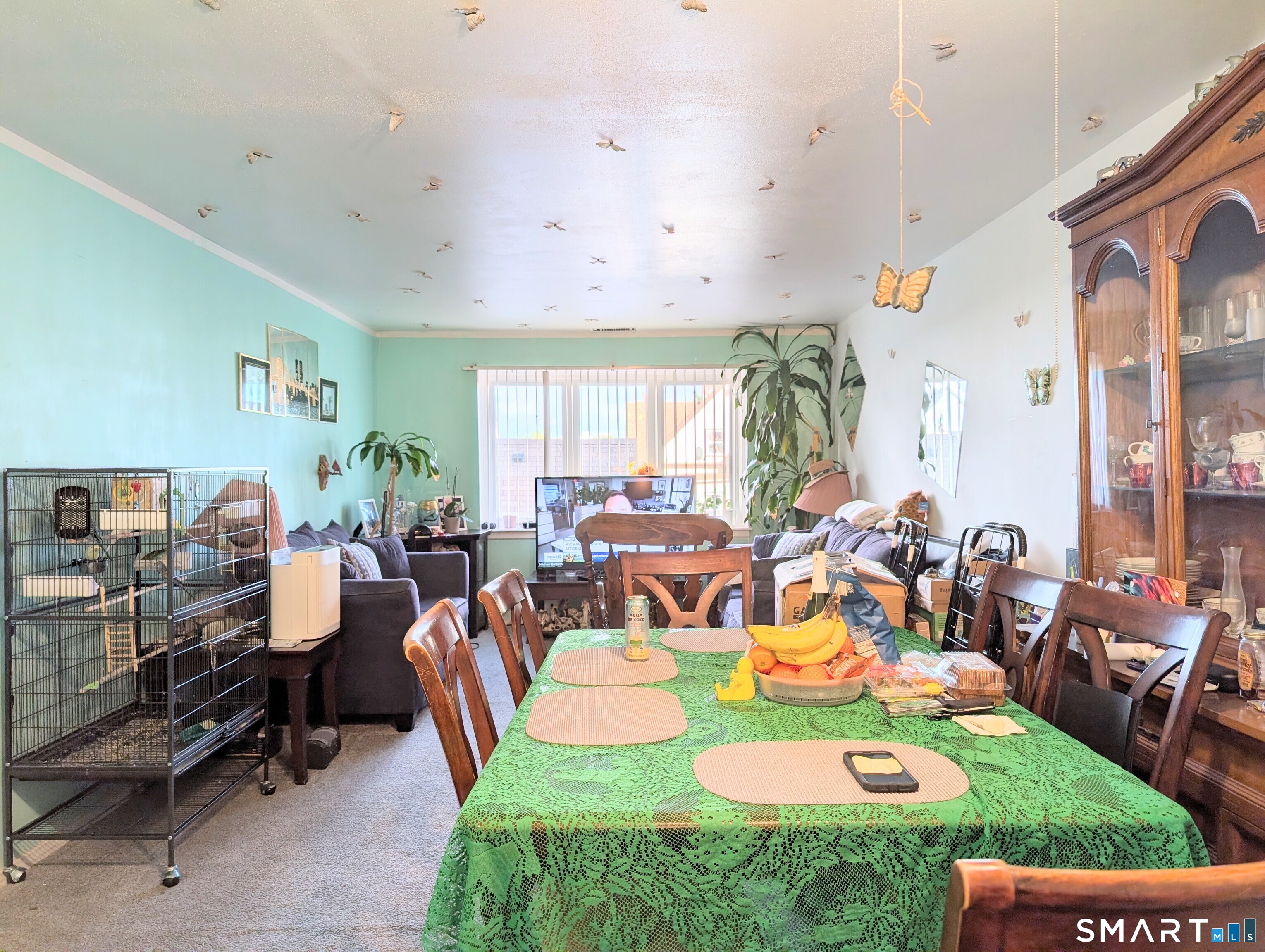 393 Laurel Avenue Bridgeport CT 06604