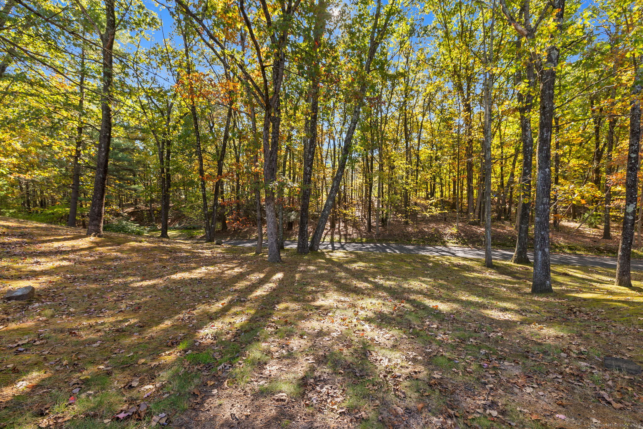 239 Old Farms Road Avon CT 06001