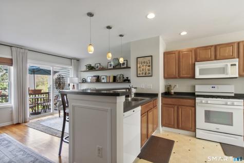 1606 Larson Drive Danbury CT 06810
