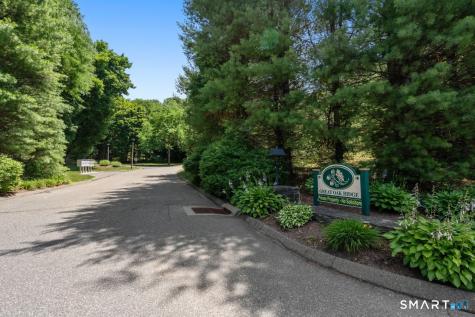 11 Summer Brook Way Seymour CT 06483