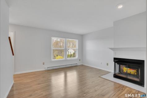 306 Lake Vista Drive East Hampton CT 06424