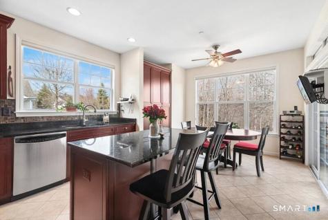 66 Suzie Drive Newtown CT 06470