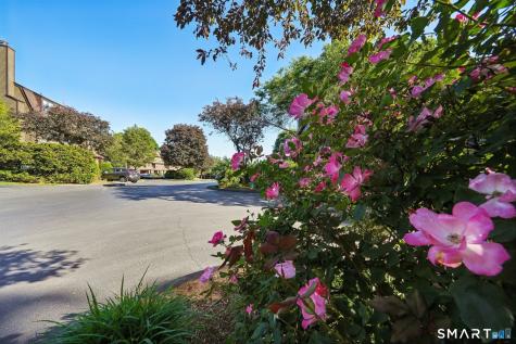 115 Fillow Street Norwalk CT 06850