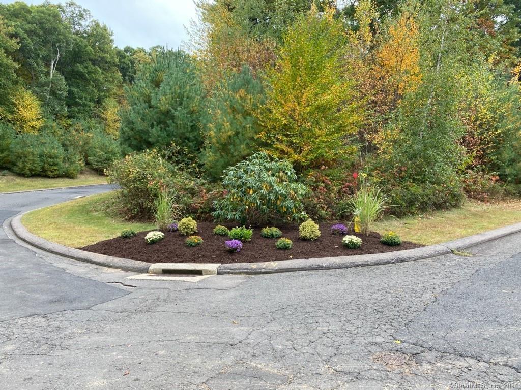 65 (Lofton II) Belvedere Drive Tolland CT 06084